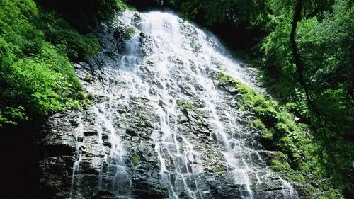 数字化稳定性高端